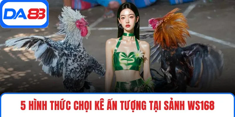 5 hình thức chọi kê ấn tượng tại sảnh Ws168