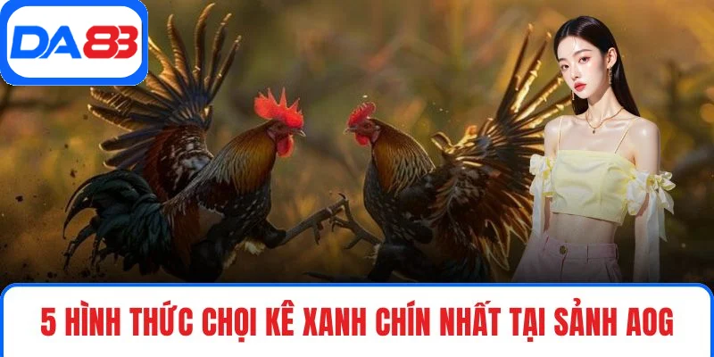 5 hình thức chọi kê xanh chín nhất tại sảnh AOG