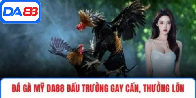 Đá gà Mỹ DA88