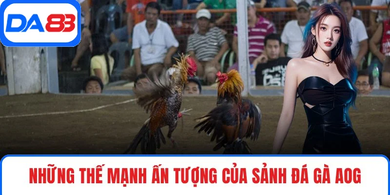 Những thế mạnh ấn tượng của sảnh đá gà AOG