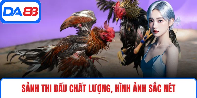 Sảnh thi đấu chất lượng, hình ảnh sắc nét