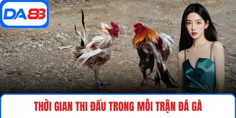 Thời gian thi đấu trong mỗi trận đá gà