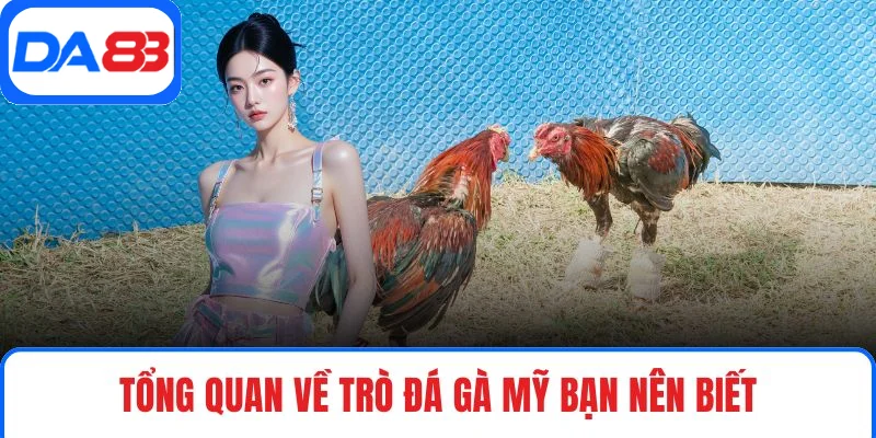 Tổng quan về trò đá gà Mỹ bạn nên biết